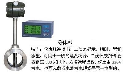 供暖蒸汽流量計分體型產(chǎn)品圖