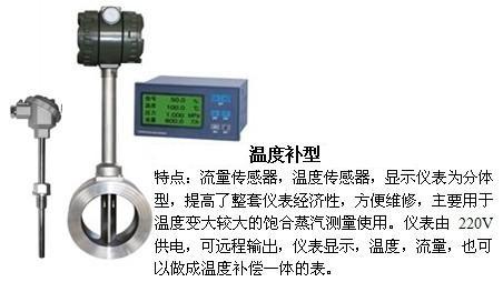 水蒸汽流量計溫度補償型產品圖